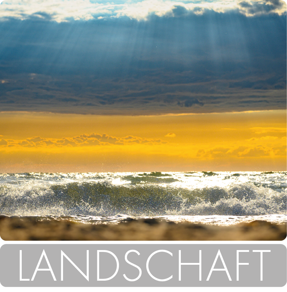 landschaft