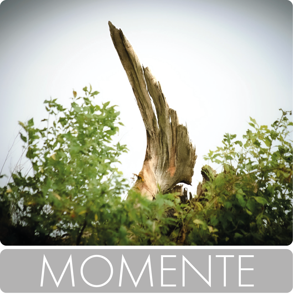 momente